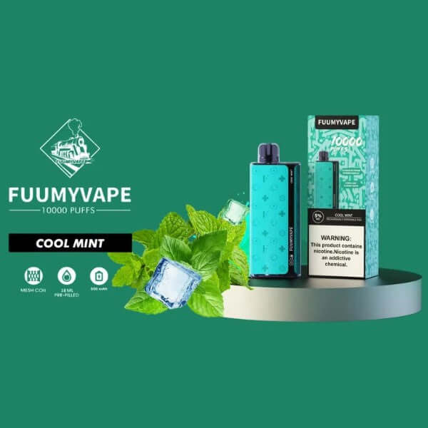 Fuumyvape 10000 puffs Cool Mint disposable vape with box