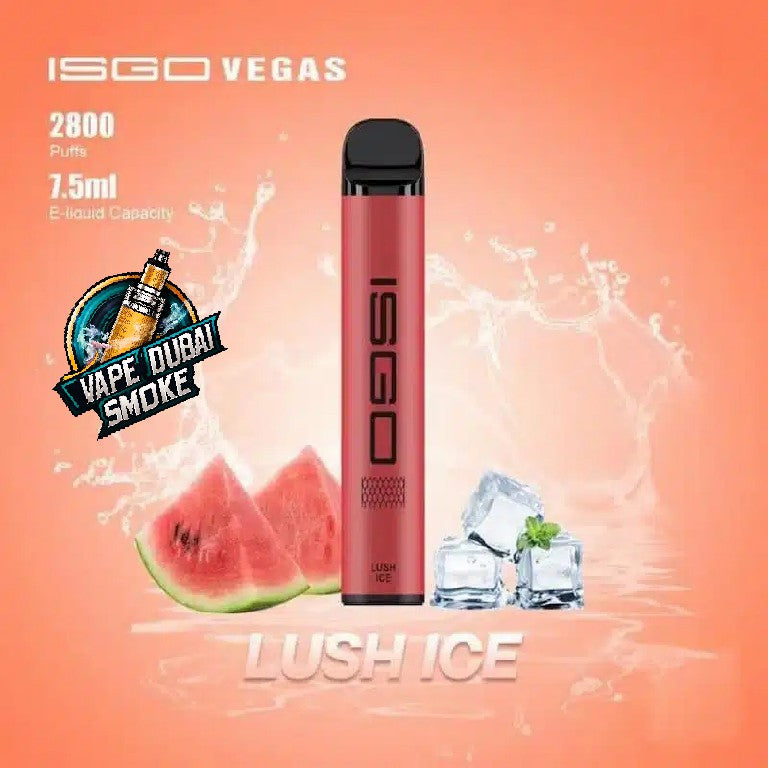 ISGO VEGAS Disposable Vape 2800 Puffs Now In Dubai
