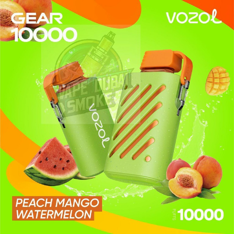 Vozol Gear 10000 Puffs Rechargeable Disposable Vape in UAE