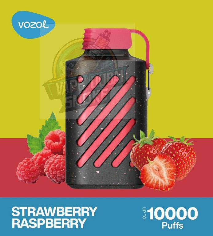 Vozol Gear 10000 Puffs Rechargeable Disposable Vape in UAE