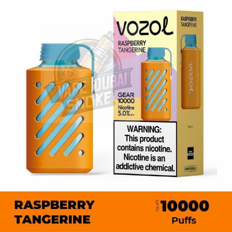 Vozol Gear 10000 Puffs Rechargeable Disposable Vape in UAE