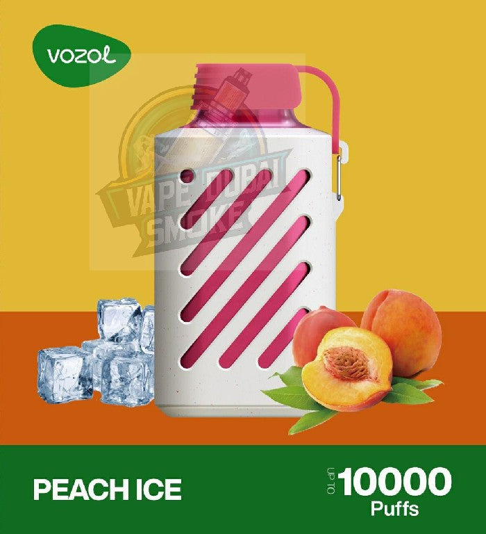 Vozol Gear 10000 Puffs Rechargeable Disposable Vape in UAE