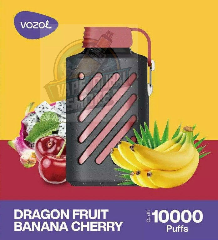 Vozol Gear 10000 Puffs Rechargeable Disposable Vape in UAE