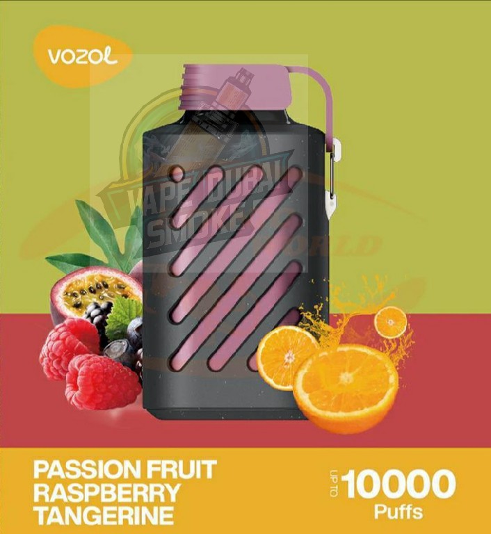 Vozol Gear 10000 Puffs Rechargeable Disposable Vape in UAE