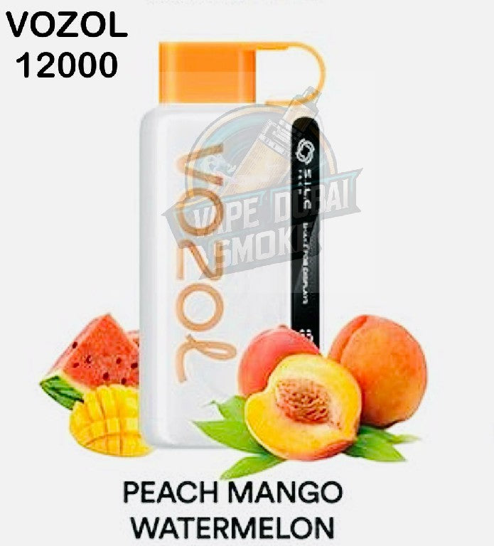 elfbar elfa master akku Vozol Star 20000 Puffs 5% Nicotine – Dual Power Vape at vape king dxb –  Vape king dxb