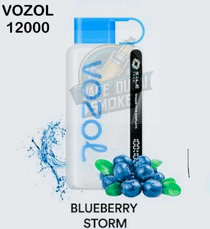 Vozol Star 12000 Puffs Disposable Vape