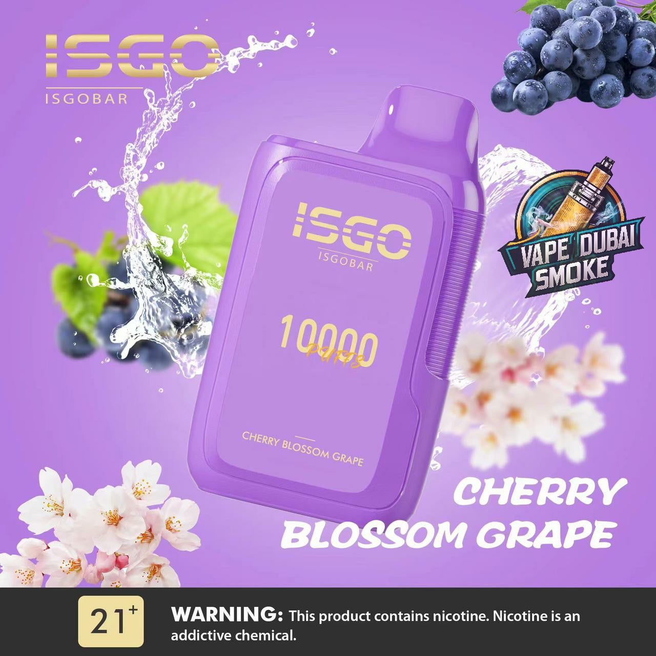 ISGO Bar 10000 Puffs Disposables Vape 5%