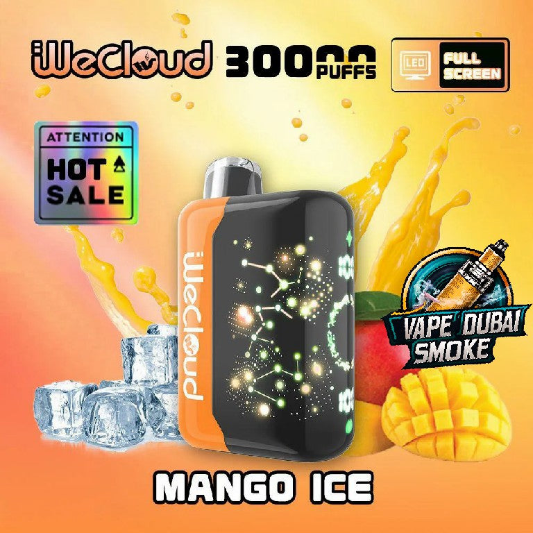 Wecloud 30000 Puffs Disposable Vape In Dubai