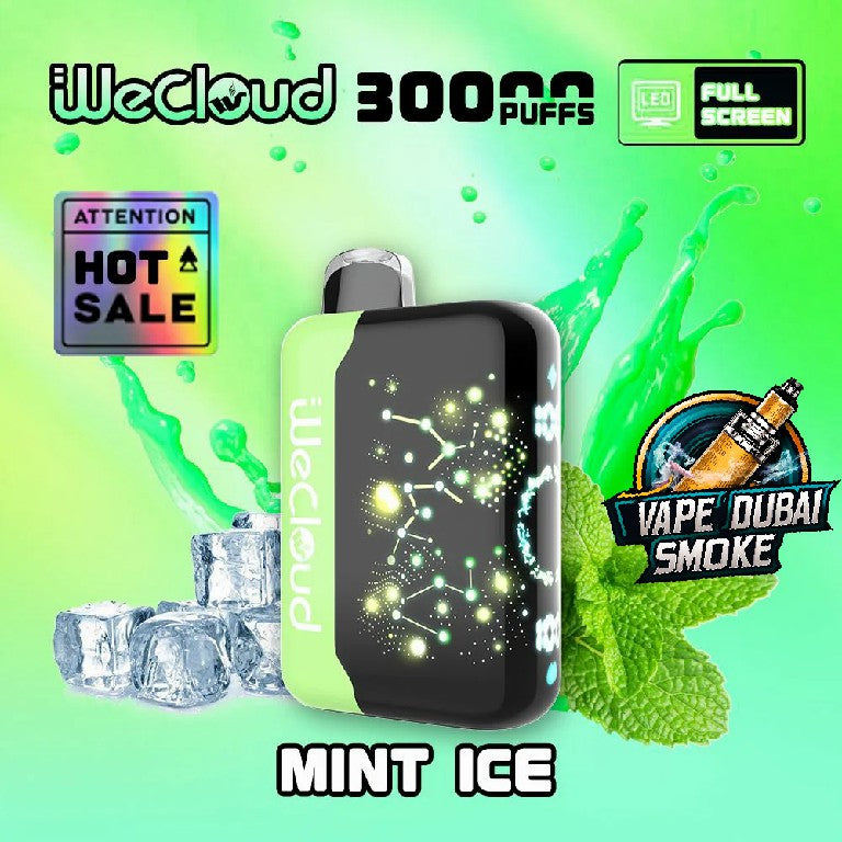 Wecloud 30000 Puffs Disposable Vape In Dubai